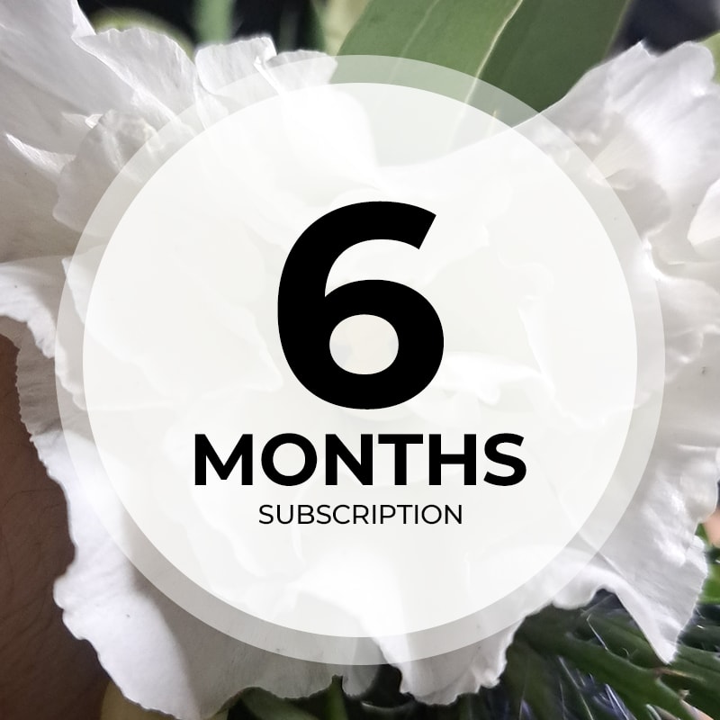 Weekly Flower Subscription - 6 Months - FREE DELIVERY if paid in full, otherwise the card will be charged for each installation. You will get custom seasonal arrangements delivered to your door on the dates you specify. You can always call ahead if a change has to be made for a particular date (for example if you will be out of town, etc). Upgrade to Deluxe or Premium at any time for a more fabulous experience.