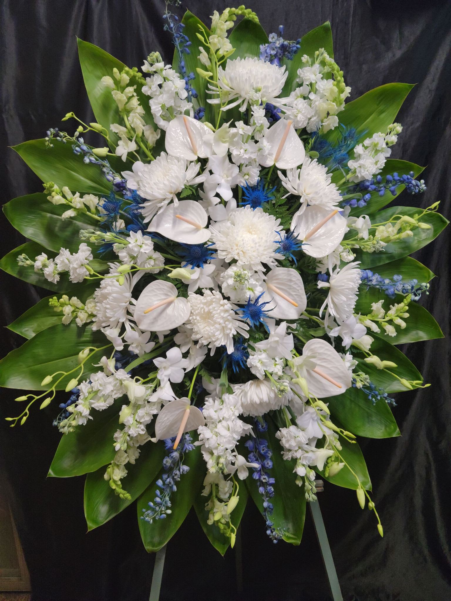 L-WB. #5. Large Standing Easel Spray.  White and Blue - Blue delphiniums,  white stock.  White Cremons,  white anthuriums and snapdragons,  white Sonia orchids 