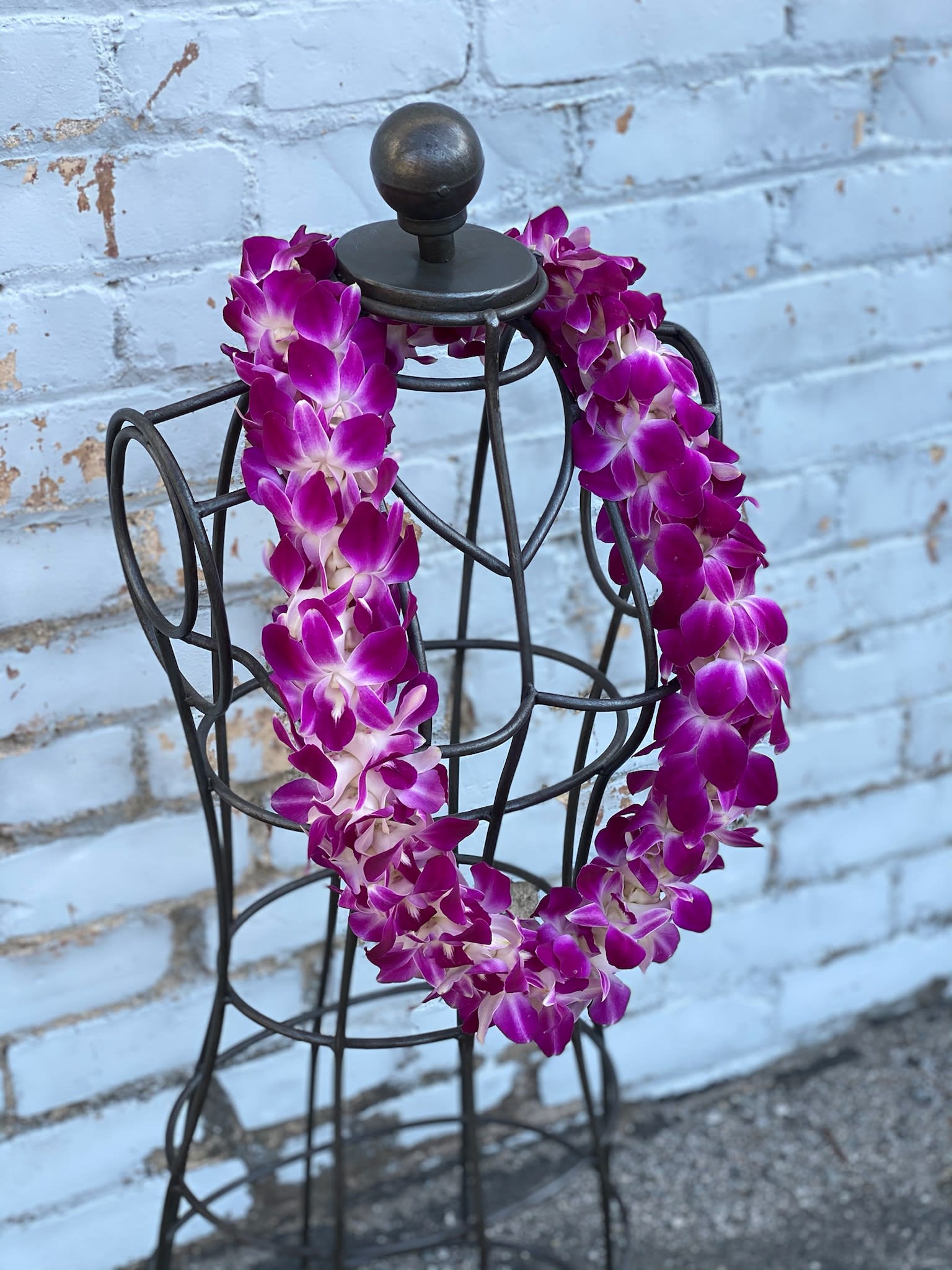 Graduation Flower Leis Costco Best Flower Site