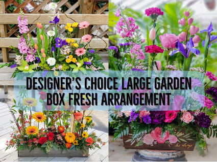  Designer choice large garden box fresh flowers  - Designer choice large garden box fresh flowers 