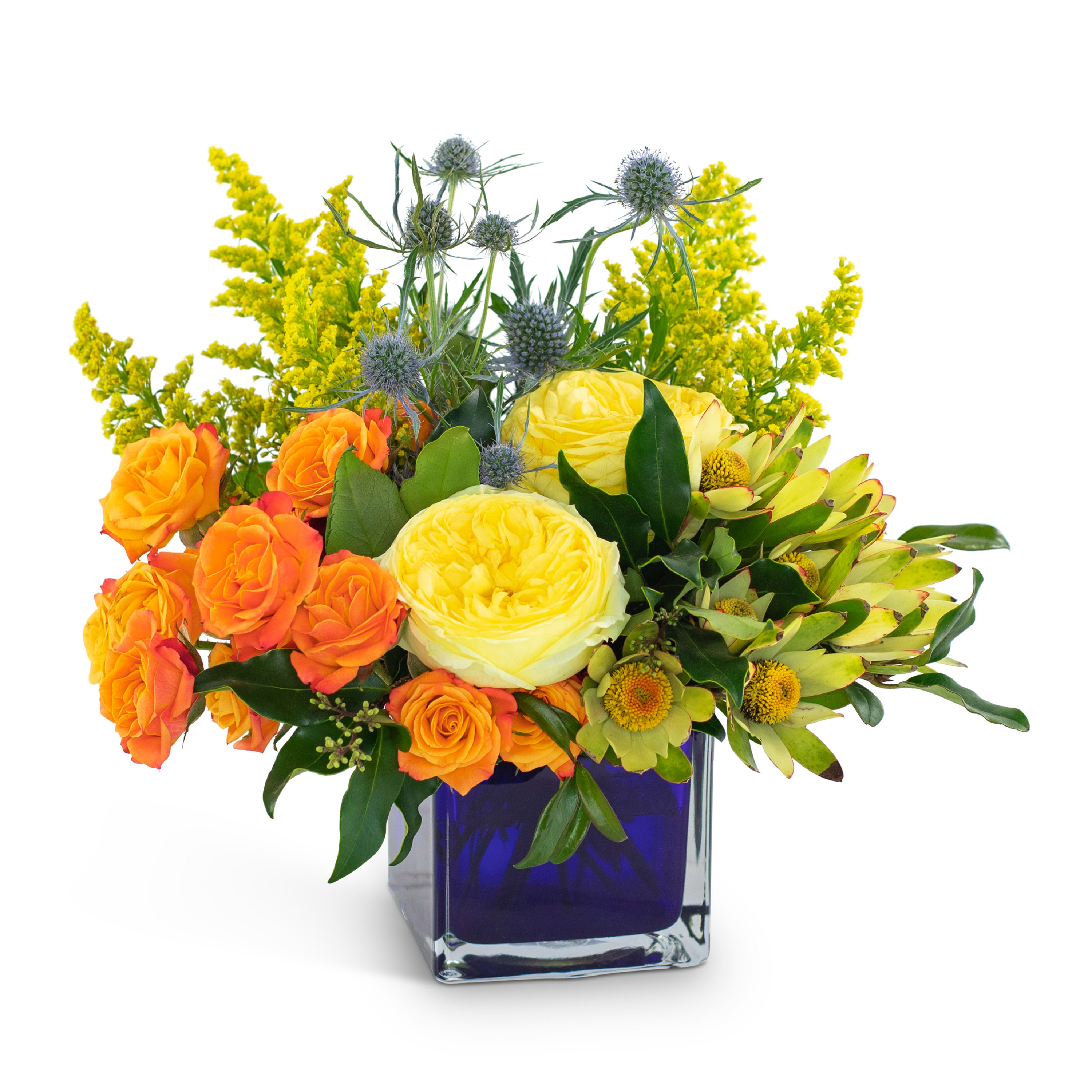 Bloom with Brilliance - Can you think of someone in your life that just brings brilliance into a room when they walk in? If so, Bloom with Brilliance is a perfect gift of flowers to send to them for their birthday, anniversary, or if they might need a pick-me-up. Orange spray roses accompanied by bright, open yellow roses, a blue thistle, and leucadendron flowers in a fabulous blue cube vase, will brighten up a room or office space with the vibrancy it brings.      Approximately 11&quot; wide by 11&quot; high