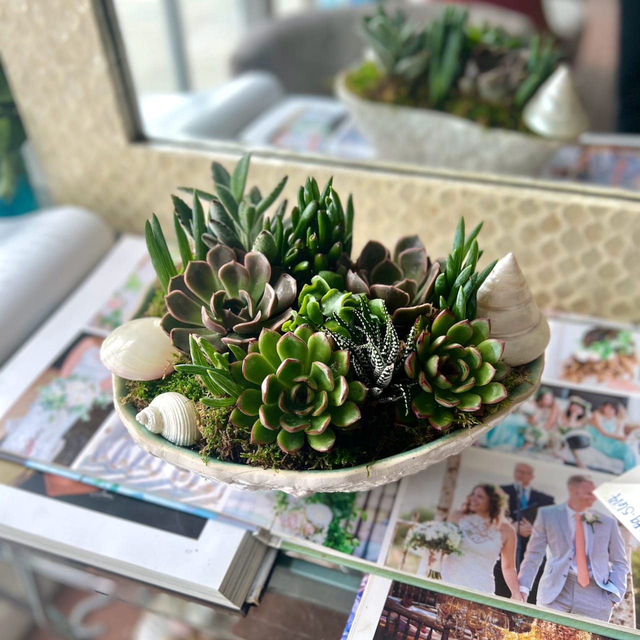 Succulent Garden