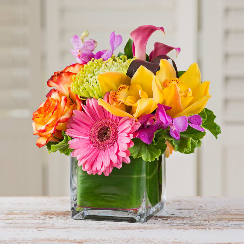 Hotsy Totsy  - A floral combination of bright and fun blooms in a leaf-lined 4&quot; glass cube.  A sure way to get a smile and a wink. Just the right size for desktop, small table, or counter.    