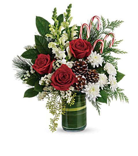 Teleflora's Festive Pines Bouquet - Bursting with Christmas spirit, this lush rose bouquet is accented with candy canes and pine cones for a touch of festive fun. Red roses, white snapdragons, and white cushion spray chrysanthemums are wrapped in a variegated aspidistra leaf and accented with seeded eucalyptus, lemon leaf, flat cedar, white pine, candy canes, and small frosted pinecones. Delivered in a clear glass cylinder vase. Orientation: One-Sided