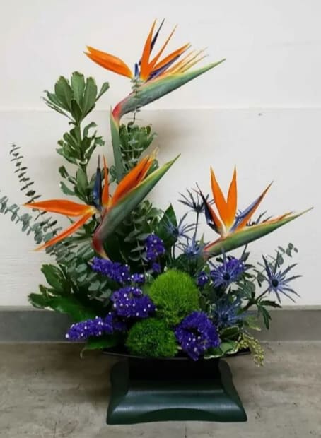 BIRDS IN PARADISE BIRDS IN PARADISE - BIRDS IN PARADISE ARRANGEMENT BY TWIN TOWERS FLORIST
