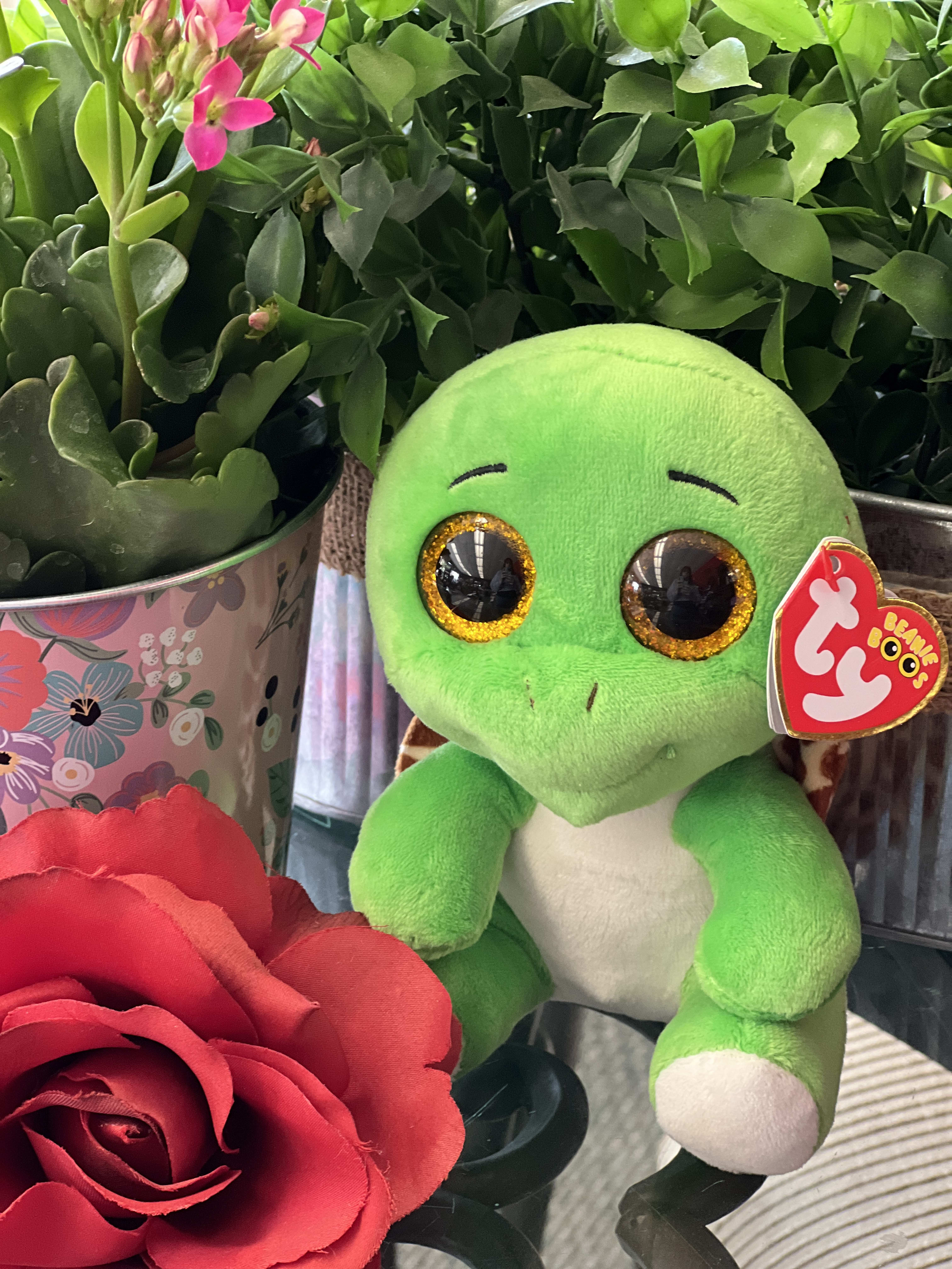 Beanie boo turtle hotsell