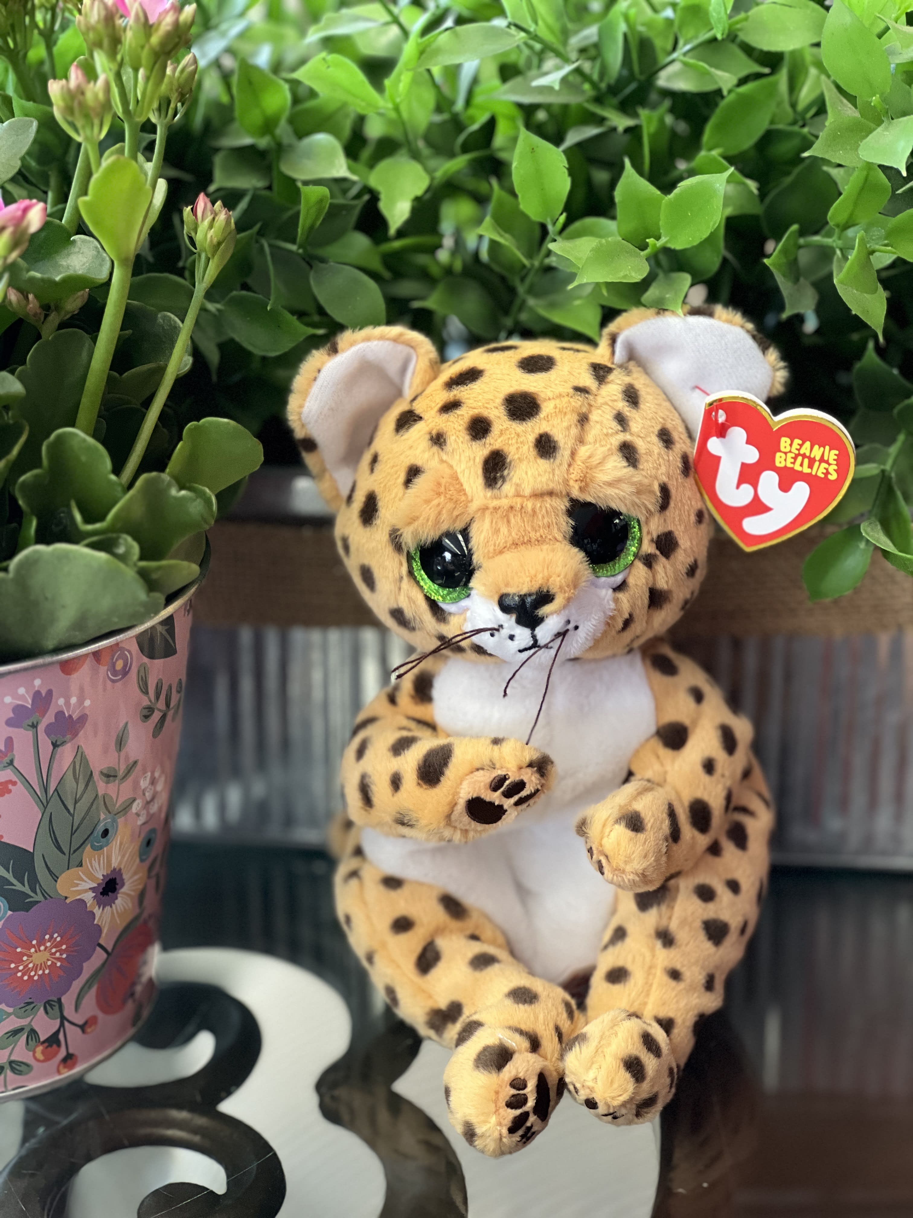 TY Beanie Bellie - &quot;Lloyd&quot; - Leopard - Lloyd the leopard is fast, but not as fast as we say &quot;AWW&quot; when we see this Bellie! Lloyd is hunting for their next friend to explore with. Is that you?  Size: 8 Inches