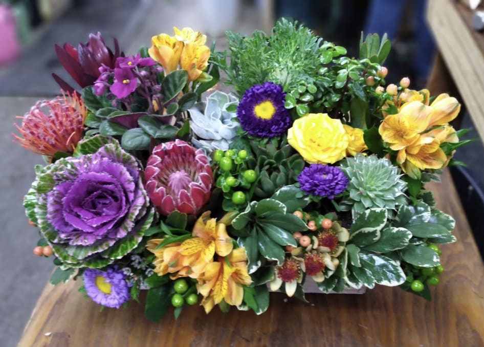 Garden So Delightful Garden So Delightful - A delightful mix of succulent plants with protea, cabbage, alstroemeria, roses, and African violets.