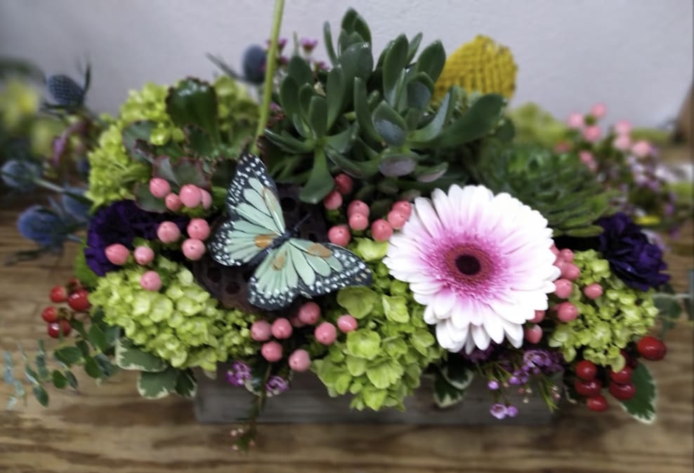 Butterfly Berries Bliss - A white gerbera daisy nestles among green succulents, green hydrangeas, and pink and red berries while a butterfly dances blissfully among the leaves and blooms.