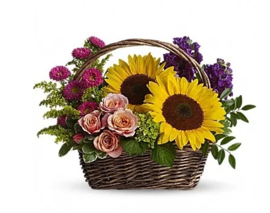 Picnic in the Park - Life will be a picnic for whoever's lucky enough to receive this gift. It's a lovely basket that's chock full of fabulous flowers. Peach spray roses, large yellow sunflowers, miniature green hydrangea, purple stock, hot pink matsumoto asters and more are delightfully arranged in a charming wicker basket.