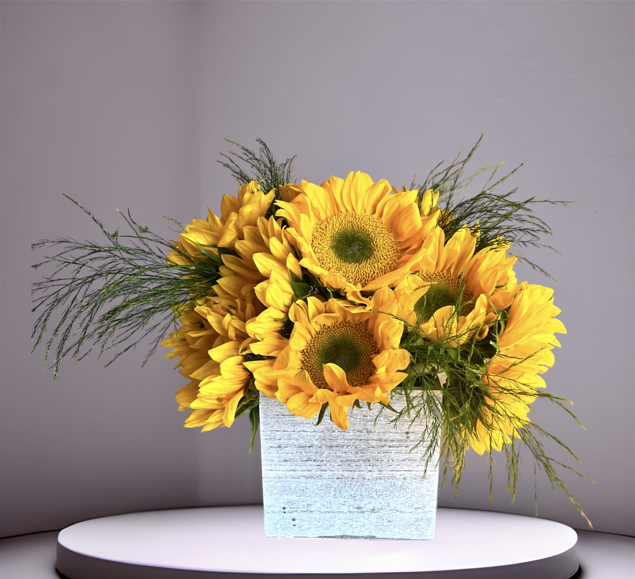 Summer Sun - A bright arrangement of fifteen sunflowers and foliage in a birch wood box.