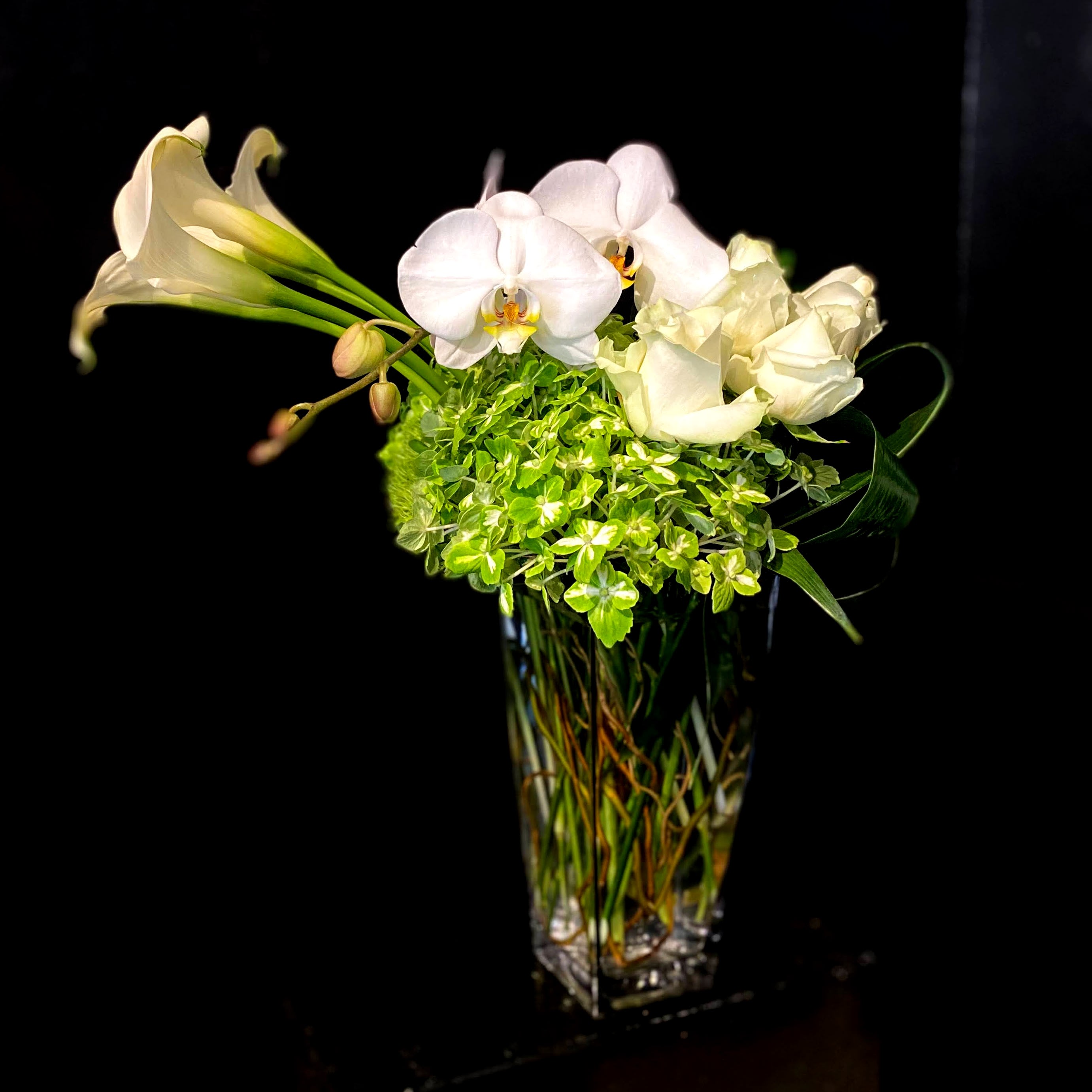 Juneau  - A sleek arrangement contains a grouping of callas, a full stem of phalaenopsis orchids, and a cluster of roses over a bed of long-lasting Esmeralda green hydrangea.  This modern and sophisticated arrangement is one of our most popular designs. Pictured is our standard sizing.