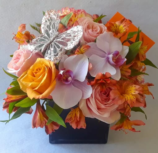 Peach Blush Rose And Orchid Beauty Designer's Choice in Haddon Township, |