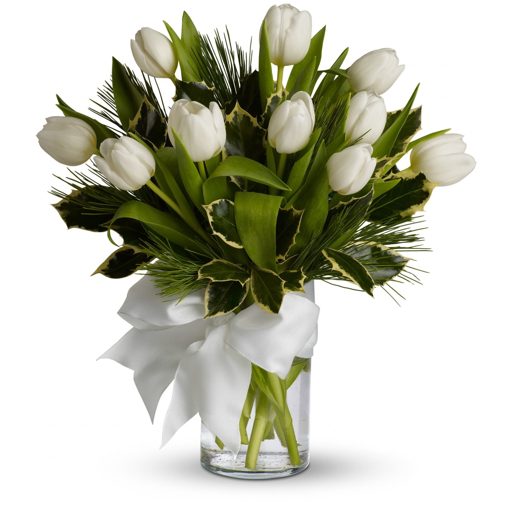 Tulips and Pine - For a wintertime floral gift that's as pure as the driven snow, send this unexpected presentation of ten white tulips, accented with aromatic white pine, and adorned with a silver ribbon. A simple pleasure for a peaceful season.    10 white tulips and white pine are delivered in a clear glass vase that's accented with a wired silver ribbon.    Approximately 13&quot; (W) x 13&quot; (H)    Orientation: All-Around    As Shown : TFWEB487