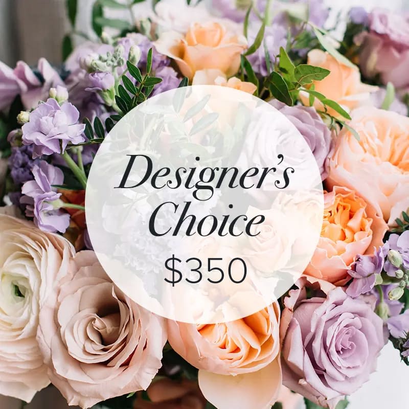 Designer's Choice - $350 - Designer's Choice - $350