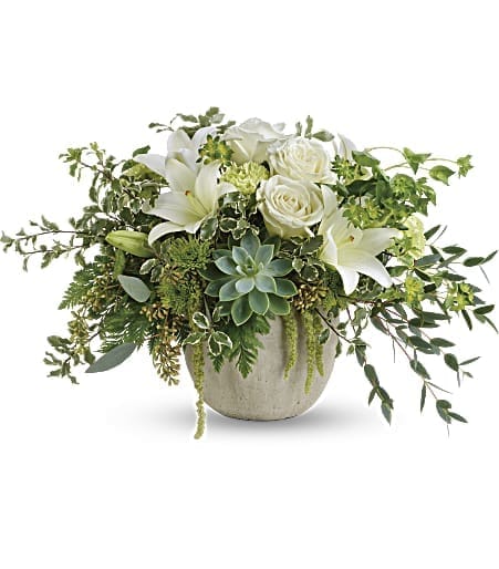Flourishing Beauty Bouquet - Bring flourishing beauty to any occasion with this naturally elegant arrangement of fresh white flowers, fresh succulents and delicate greens. The wildly chic arrangement is presented to perfection in a charming weathered pot.    This natural arrangement includes white roses, white asiatic lilies, green carnations, green cushion spray chrysanthemums, green hanging amaranthus, bupleurum, leatherleaf fern, pitta negra, parvifolia eucalyptus, seeded eucalyptus, and a large green potted echeveria succulent. Delivered in a weathered slate round pot. Approximately 20 3/4&quot; W x 13&quot; H  