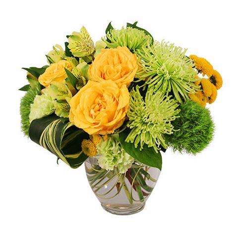 Lush Lemon - This luscious arrangement will be a delight for anyone! With sunny yellow roses, divine green carnations, radiant yellow button poms, and striking green spider mums, Lush Lemon Roses is a showstopper. Send this handsome bouquet to someone you love today!
