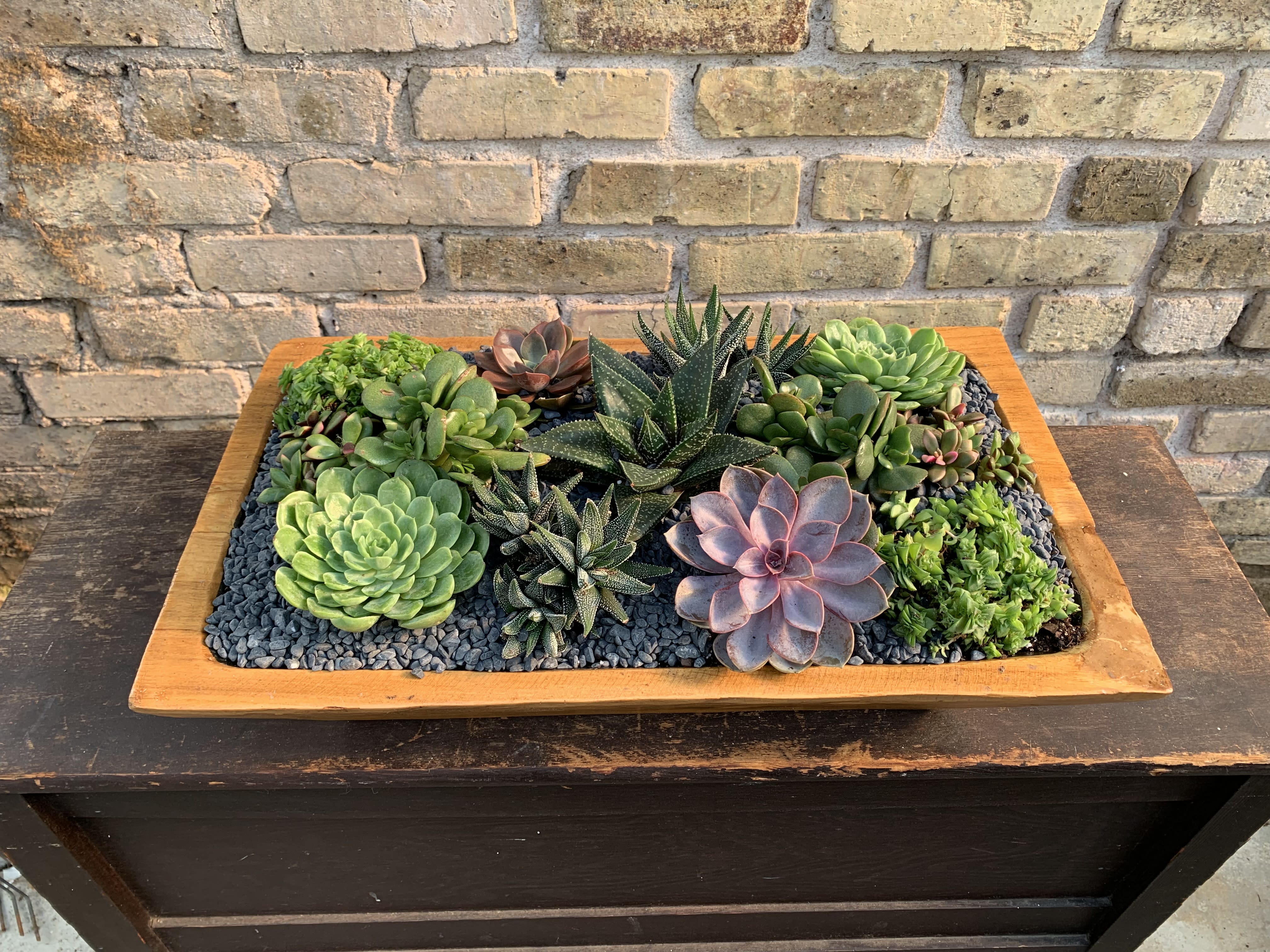 Mesa Verde - Succulent Garden Planted Into a Rectangle Wooden Container. A Great Gift For That Special Person. Succulents may vary depending on availability.