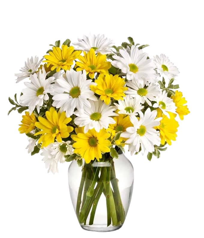 Upsy Daisy - What could be sweeter than a cheerful bouquet of white and yellow daisies? Can't think of anything? Then choose this sunny bouquet. It will brighten their day. 