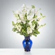 Crystal Symphony by BloomNation™ Crystal Symphony by BloomNation™ - This arrangement includes white iris, white stock, white snapdragons, and queen anne's lace in a blue vase. Send your condolences with Crystal Symphony by BloomNation™™. Approximate Dimensions: 22"D x 30"H