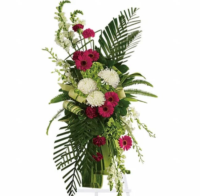 Gerberas and Palms Spray - Convey your respect and admiration with this spray of striking red and white funeral flowers. Red gerberas and carnations complement white orchids snapdragons and chrysanthemums all set against the deep greens of tropical palm leaves. Beautiful flowers such as red gerberas and carnations white orchids snapdragons and chrysanthemums plus tropical palm leaves and ferns.