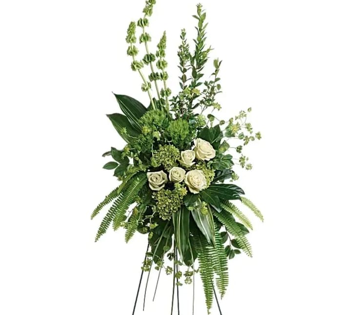 Forever At Peace Spray - A peaceful display of affection and sympathy this monochromatic spray of gorgeous fresh greens and pure white roses is a vision of tranquility. This tranquil spray of miniature green hydrangea green roses green trick dianthus and bells of Ireland is accented with bupleurum myrtle sword fern variegated aspidistra leaves aralia leaf bear grass and lemon leaf. Delivered with a wire easel.