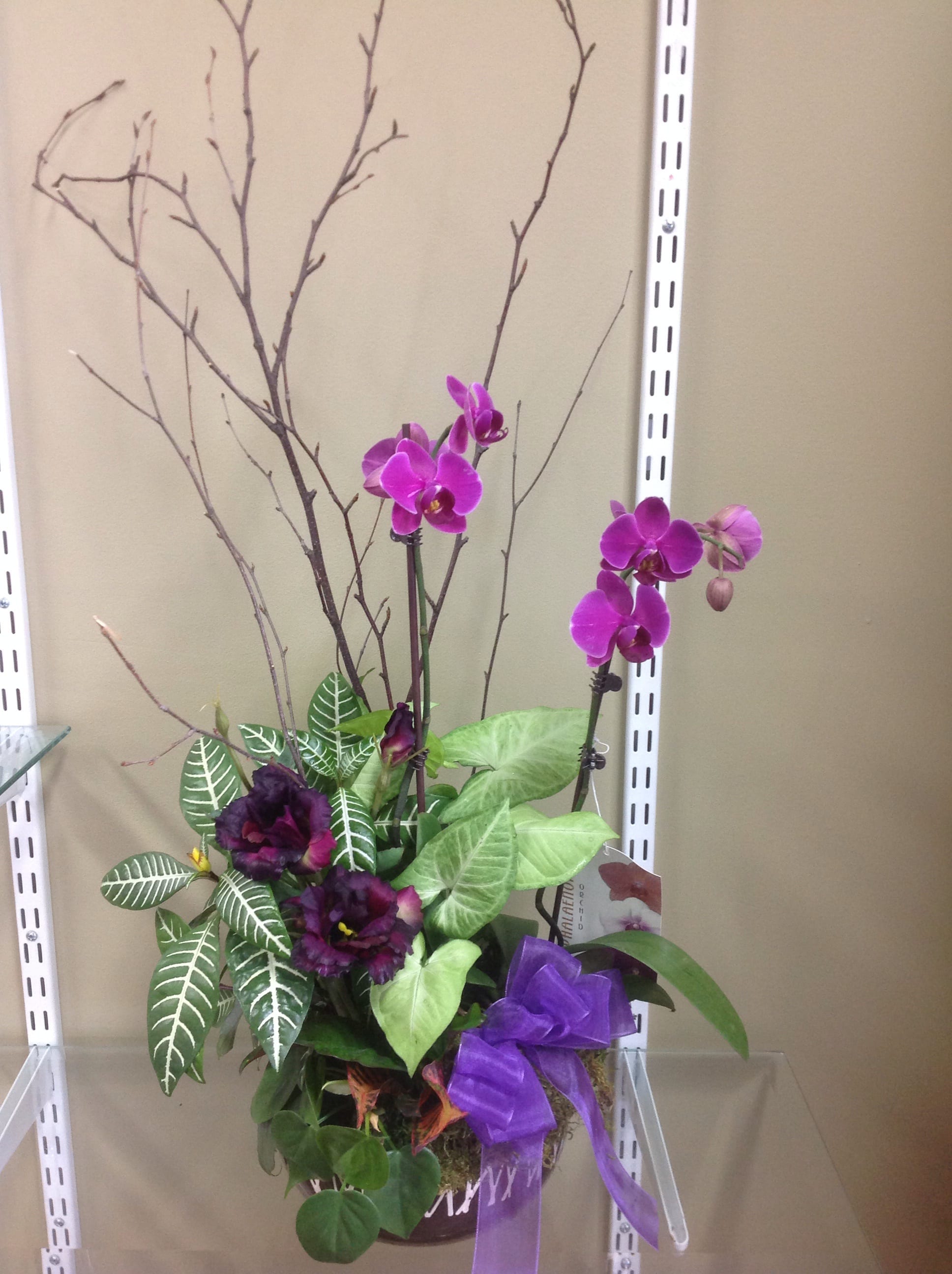 Tropical planter - Planter with orchid plants
