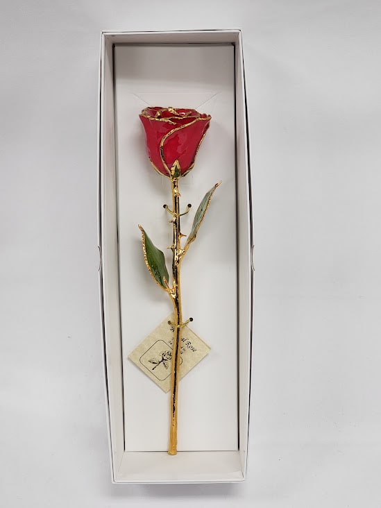 Preserved Rose Gold Rose