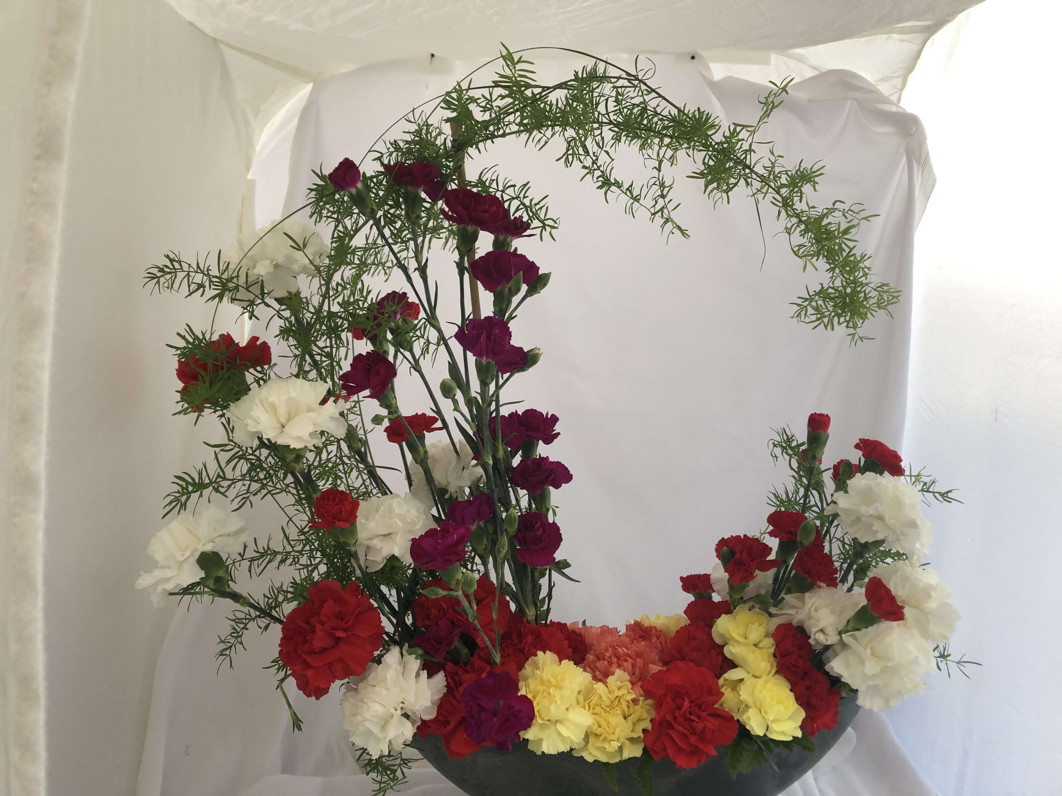 Carnation Crescent - This elegant display of the Simple Carnation in a high end, elegant, &quot;Boat Style' Container, has a full frothy rich and stylish appearance because of the crescent form and is quite approachable with multi colored blooms. This can be special ordered in a Mono-Chomatic scheme as well. Other flowers can be used in place of the carnations, prices will then vary.