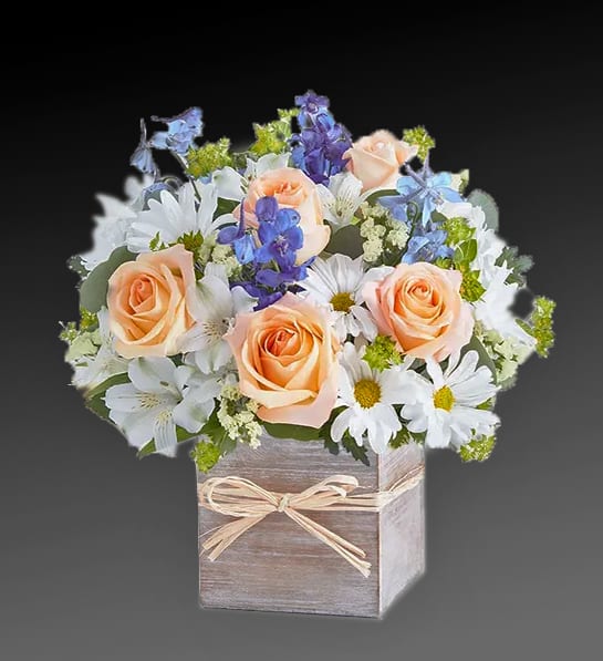 Flowers of Morning Breeze - Bringing in the morning air and breeze hopefully will give you more energy and spirit. 