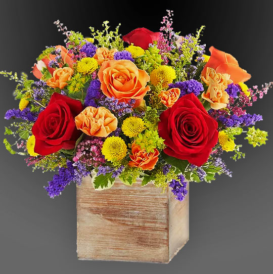 Delightful joy flowers - A rainbow of beauty for any occasion.