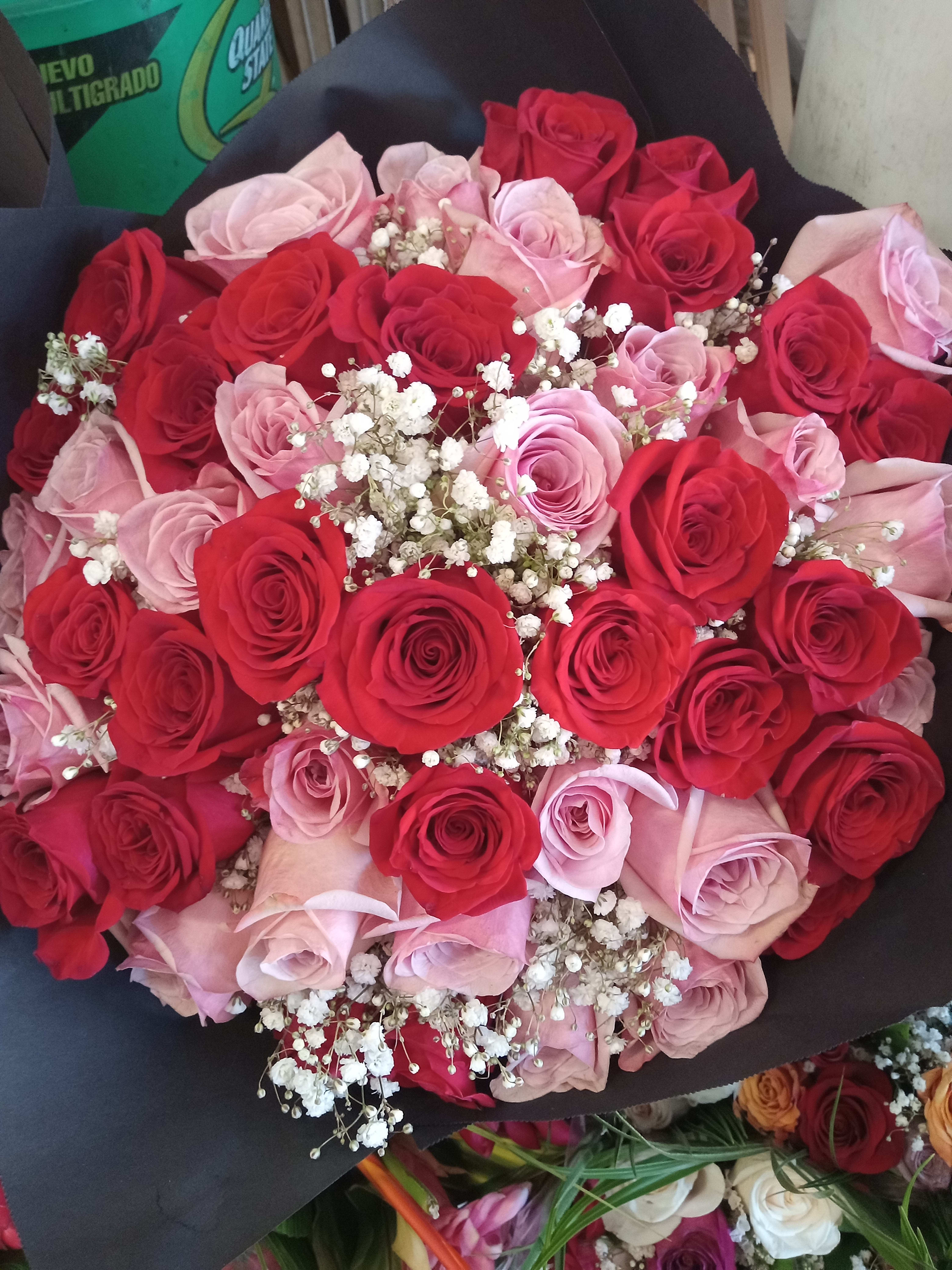 Pink roses red rosss Pink roses red rosss - Pink roses red roses