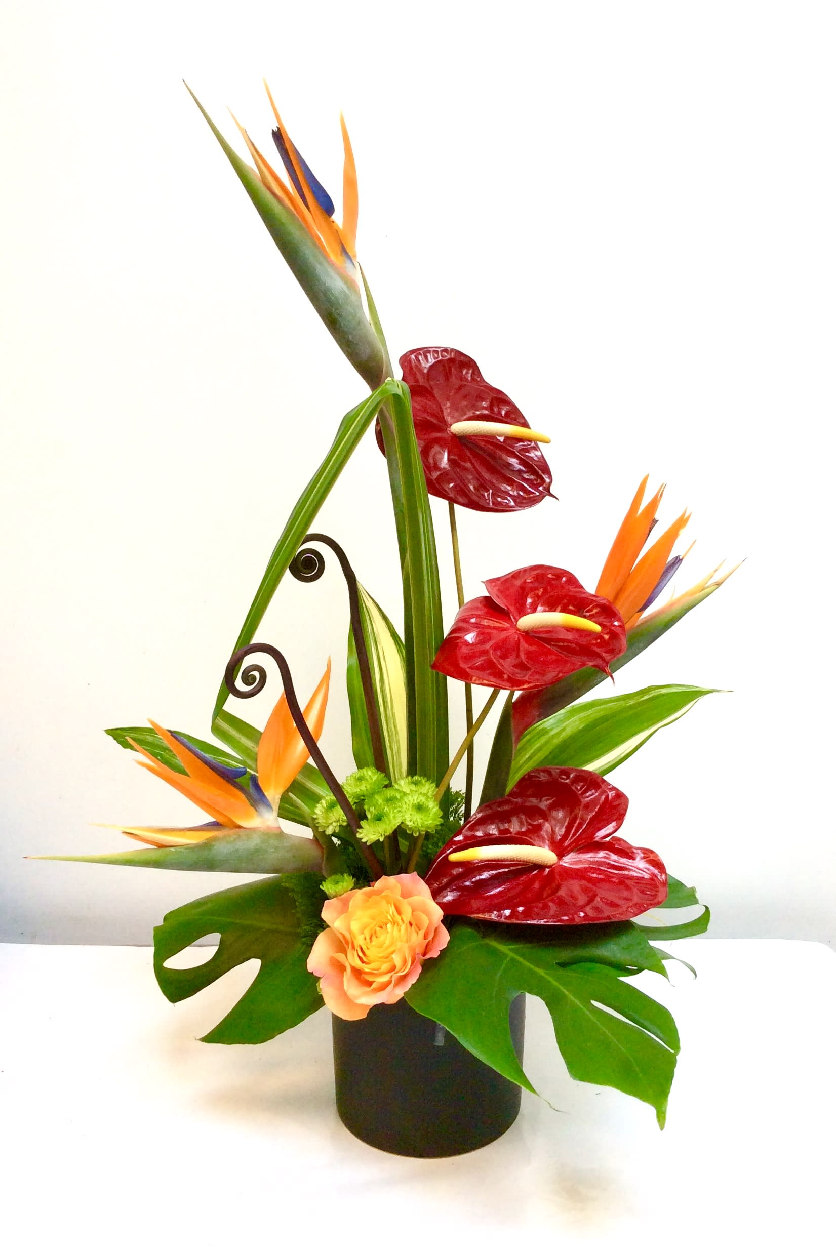 Maui Memories - High style design, geometric shapes showcasing our favorite tropical flowers, birds of paradise, antirrhinum, orchids and more.