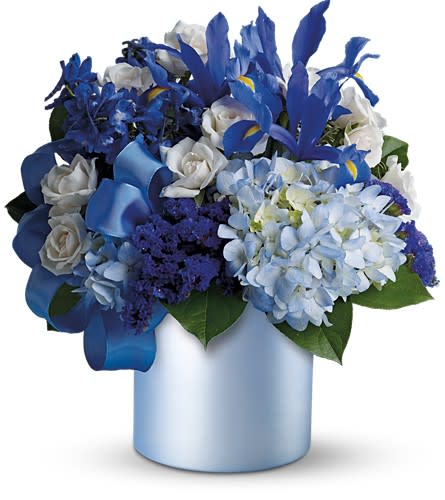 Blue Blooms Blue Blooms - This mix of blue and white blooms in a blue Satin Collection vase would make a splendid Hanukah decoration, or a great birthday gift for someone who loves the blues. Also a charming floral arrangement for a baby boy's birthday party, a baby shower or any winter occasion. A mix of blue, white and purple flowers such as roses, hydrangea, delphinium, iris and limonium â accented with a blue satin ribbon â is delivered in a blue cylinder. Approximately 13" (W) x 12" (H)