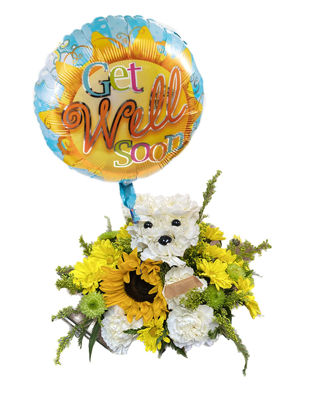 Sick As a Dog - Sick As a Dog Know someone having a “ruff” time? Our flower pup is the perfect pick-me-up for anyone under the weather. Handcrafted with bright white blooms and yellow accents, he comes with a Band-Aid to cover his boo-boo and a colorful Get Well balloon to cheer them right up with happy healing wishes.