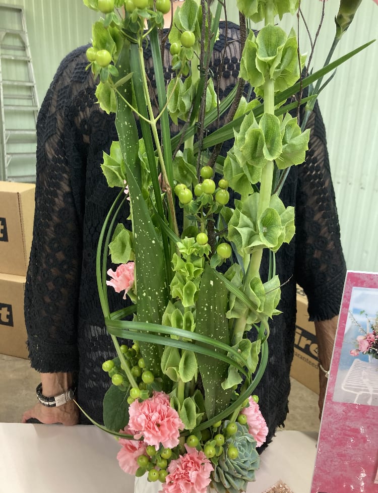 Decorated Snake Plant - Sansevieria decorated with cut pink carnations, a succulent, Bells of Ireland and other greenery