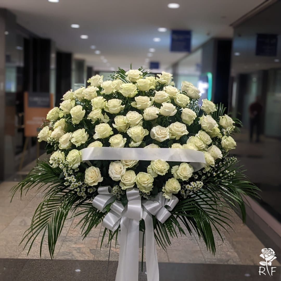 Five Dozen (60) White Premium Roses on a Stand by Rosemont Florist