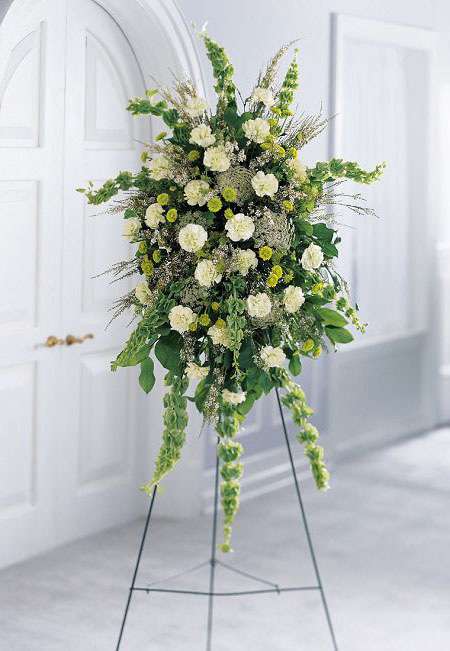 S11-3793- Splendor Standing Spray   - This standing spray is graced with two dozen green carnations. White waxflower, Bells of Ireland, and Queen Anne's Lace add to its tonal beauty. Delivered on an easel, this one-sided design is suitable for the funeral home or service.  Approximately 50&quot;H x 32&quot;W