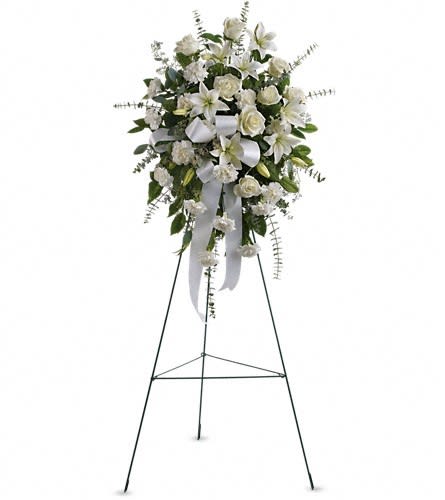 Sentiments of Serenity Spray   - Channel your inner peace with fresh white blossoms; send this Sentiments of Serenity Spray flower arrangement to express your thoughtfulness and heartfelt sentiments. Delivered on an easel, it's as clean and pure as a snowfall in winter. A standing spray created from fresh white flowers such as roses, Asiatic lilies and carnations � accented with eucalyptus � is delivered on an easel. Approximately 25&quot; (W) x 35.5&quot; (H) (Dimensions do not include easel.) 