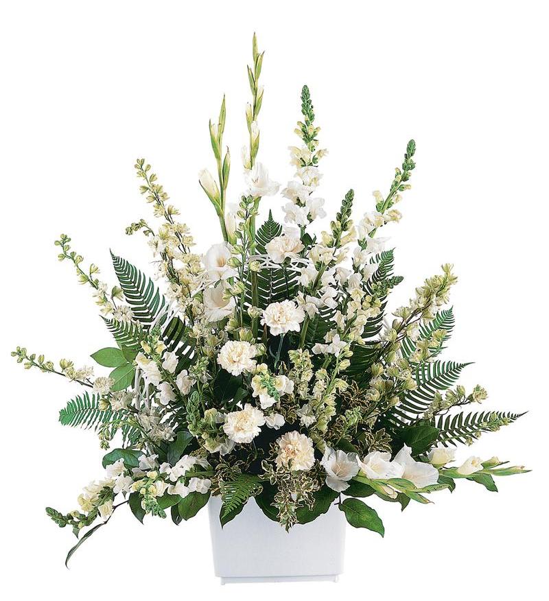 tf195-1: White Expressions Basket tf195-1: White Expressions Basket - If you want to pay tribute in a grand manner, send this impressive arrangement of white flowers. They'll convey exactly how you feel.