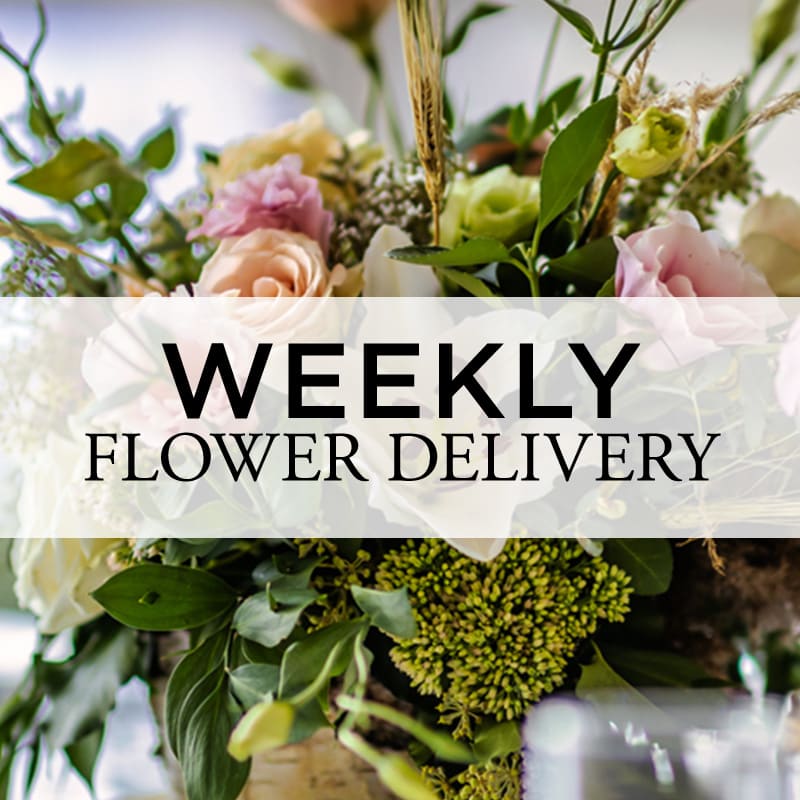 Flowers on sale delivered weekly