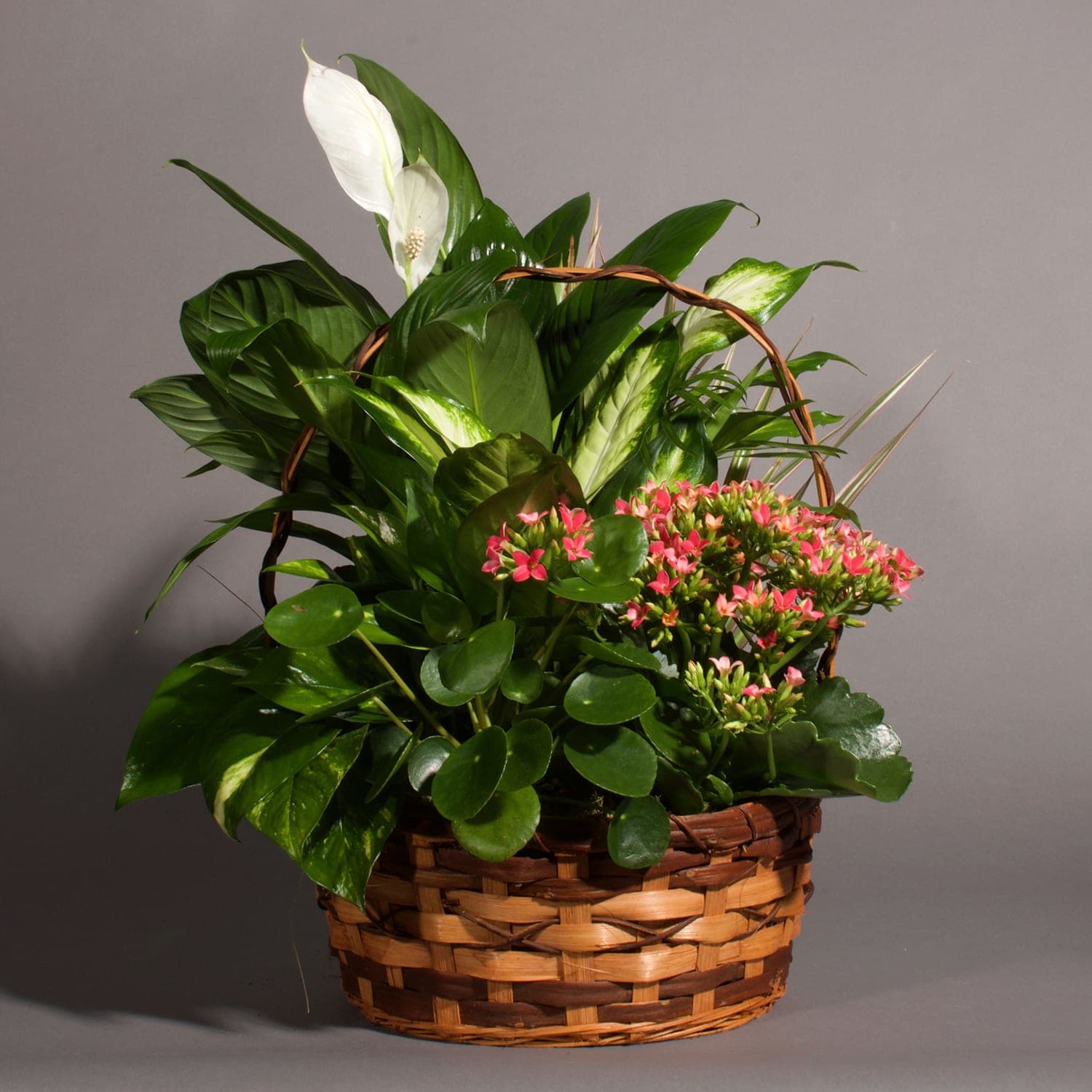 Garden Basket - A basket full of love to the ones you love. A wicker basket with a mix of green and blooming plant.