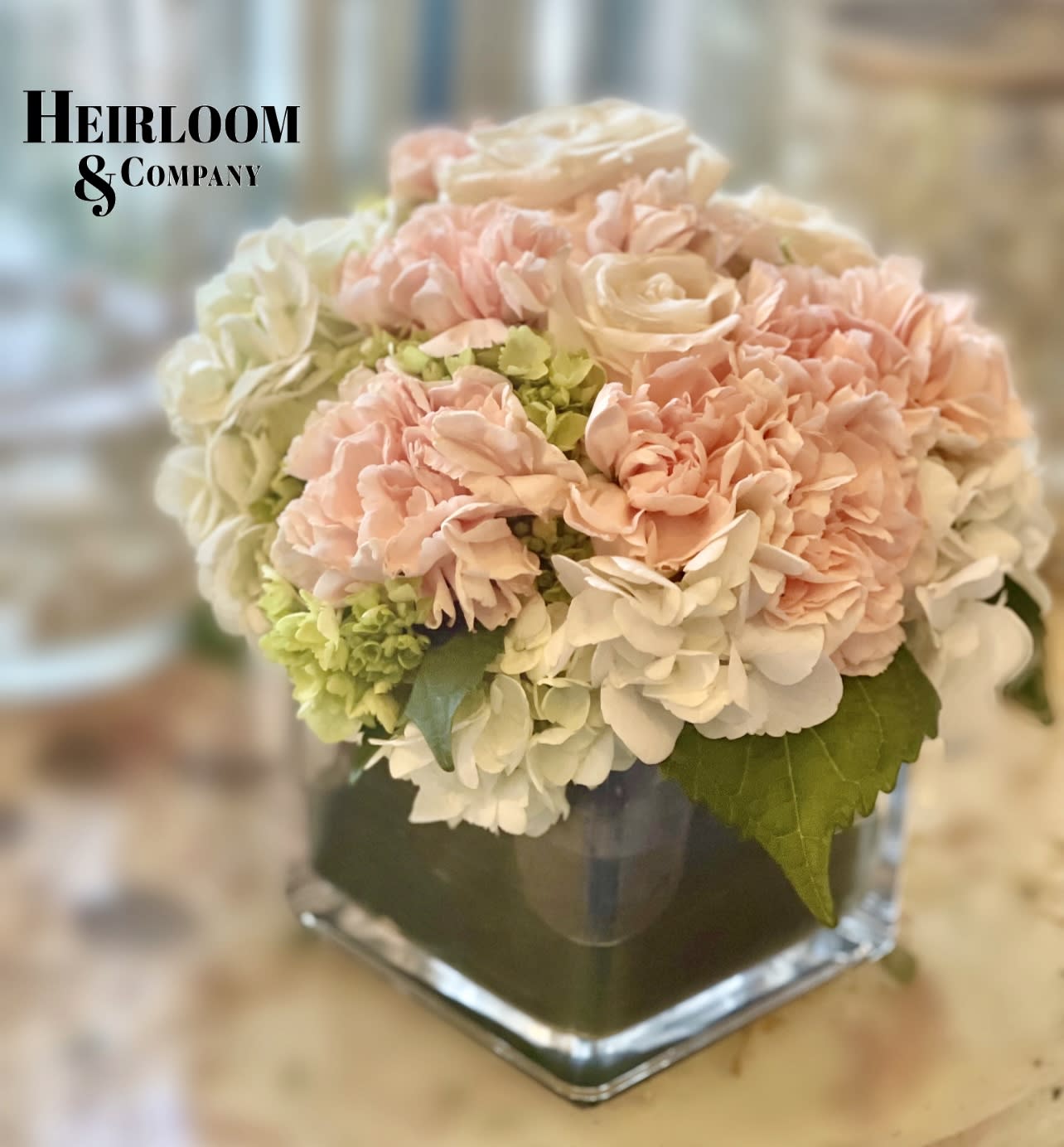 Zookies Squared - White and green hydrangeas alongside blush carnations, presented in a stylish glass cube. A perfect centerpiece for any occasion.