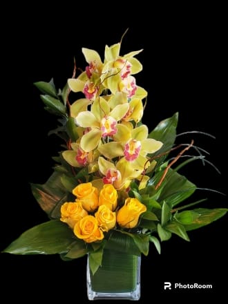 Cymbidium Orchid with a Half Dozen Roses FS14 - Modern &amp; Sophisticated, perfect for any occasion.
