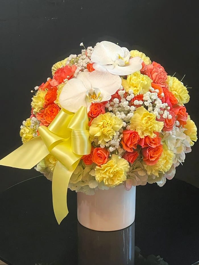 Carrusel Design 3 - 1 Dozen of Roses, Carnations, Hydrangeas, Baby Breath, Orchids