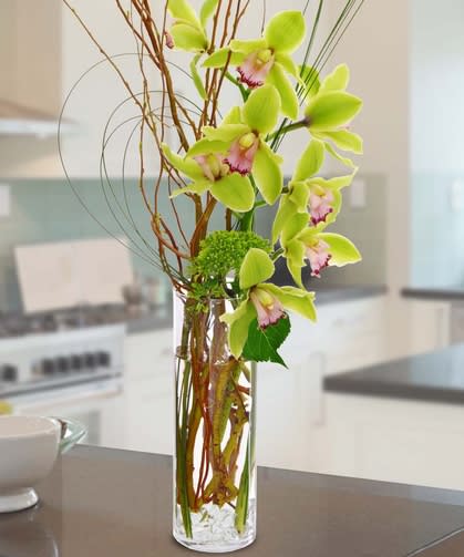 Cylindrical Cybidium - This simplistic, yet premium bouquet, of lime green Cymbidium Orchids accompanied by loops of greenery and tall Curly Willow in a clear cylinder vase is made for a memorable statement that won't soon be forgotten!