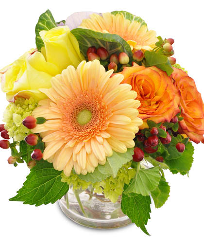 Autumn Sunset Autumn Sunset - This wonderful compact design is inspired by the brilliant colors of the setting sun. Soft peach gerbera daisies and yellow roses gently transition to darker hues from orange roses and red hypericum, all perfectly complemented with greenery and curly willow tips in a short vase. Approximateley 8” wide x 10” high