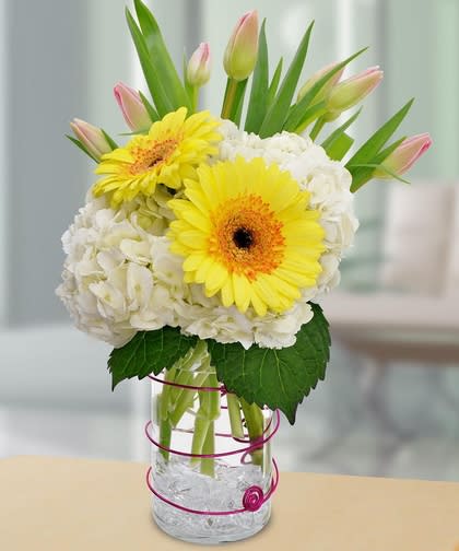 Springtime Celebration - Bring a fiesta to your Easter celebration with this lovely mixture of Gerbera daisies, white hydrangea and tulips. Colors may vary.