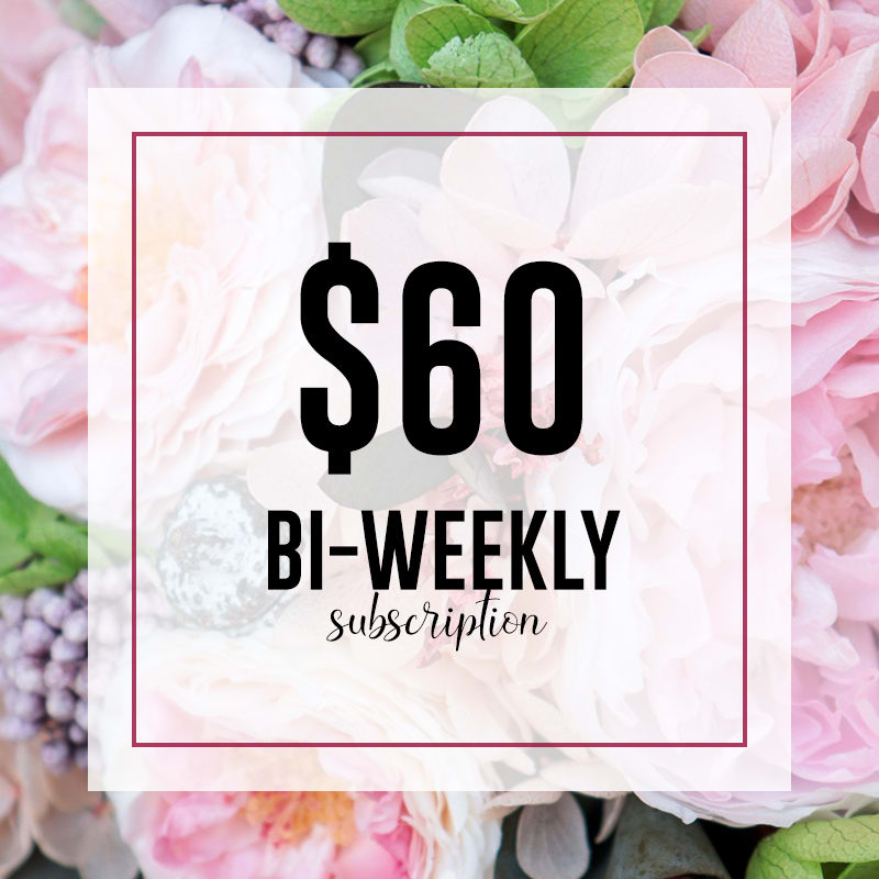 Bi-Weekly Subscription - $60 - Bi-Weekly Subscription - $60