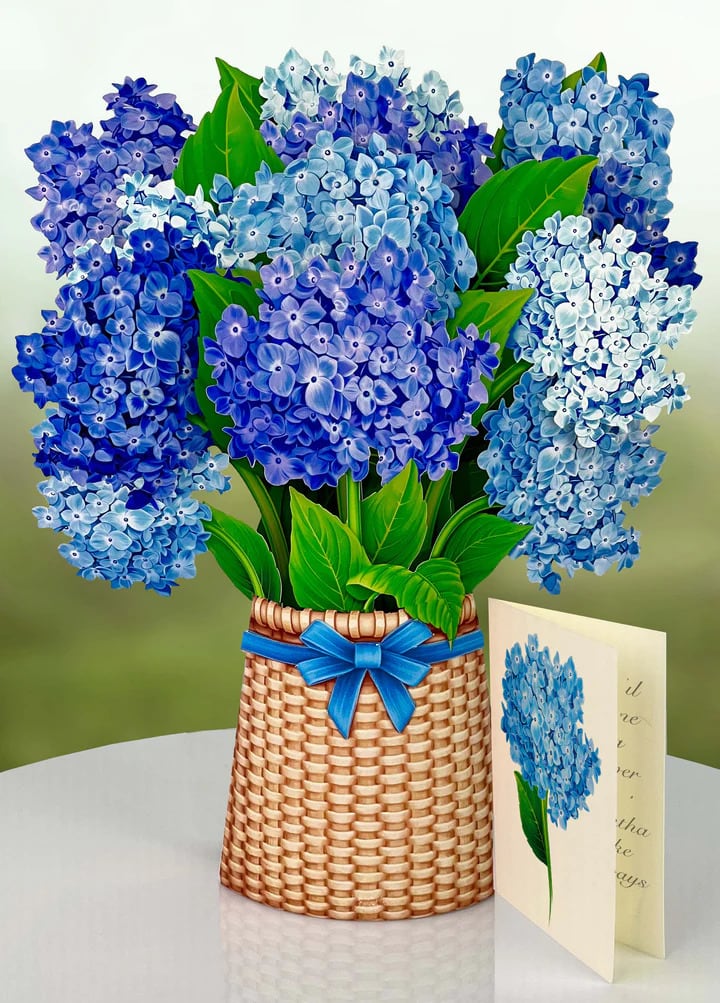 Nantucket Hydrangeas- Fresh Cut Paper Pop-Up Bouquet in Provo, UT